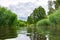 Dutch landscape wetlands view from a boat