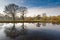 Dutch landscape in winter