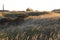 Dutch lighthouse Bornrif near Hollum in Ameland dunes