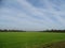 Dutch meadow under blue sky with some high clouds