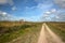 Dutch national park `De Muy` with sheep shelter bungalow building on island Texel in Netherlands