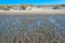 Dutch North Sea beach at low tide on a sunny winter day