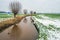 Dutch polder landscape in the winter season