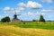 Dutch rural landscape with a windmill and cows, Holland, Netherlands