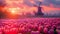 Dutch Spring scene with colourful tulip fields and a windmill at sunset in the North Netherlands. Amazing view of