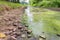 Dutch stream with low water level in summer