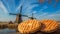 Dutch Stroopwafel Amidst the Iconic Windmills