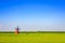 Dutch style windmill with blue sky, Panjin, Liaoning, China