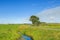 Dutch summer polder landscape in perspective with roadway and adjacent ditch and green meadows