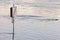 Dutch traffic sign alongside the flooded river IJssel in the province of Gelderland