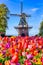 Dutch Traveling. Blooming Colorful Tulips In Keukenhof Public Flower Garden With Traditional Dutch Windmill