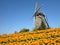 Dutch Tulip Windmill Landscape