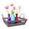 Dutch tulips in colorful vases on tray