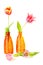 Dutch tulips in orange vases
