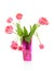 Dutch tulips in pink vase