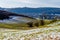 Dutch valley with green grass with traces of snow on the ground with trees and a village in the background