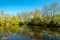 Dutch walking trail along a gorgeous lake and a small forest