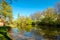 Dutch walking trail along a gorgeous lake and a small forest