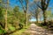 Dutch walking trail along green fields, forests and a river