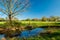 Dutch walking trail along green fields, forests and a river