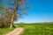 Dutch walking trail along lush green fields and small forests