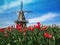 Dutch windmill and display of tulips
