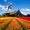 Dutch windmill over tulips field