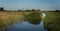 Dutch windmill in the province of Groningen