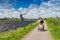 Dutch windmills with canal reflections at Kinderdijk, Netherlands