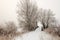 Dutch winter landscape with a small wooden bridge