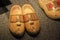 Dutch wooden clogs