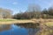 Dutch woodland with bare trees mirroring in lake in early spring