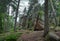 dwarf boulders nature reserve gorzeszow rocks