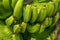 Dwarf Cavendish bananas from the Canary Islands