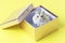 Dwarf fluffy hamster in a gift box on yellow background