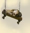 Dwarf monkey on the swing