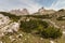 Dwarf pine shrubs growing on alpine meadow