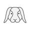 Dwarf rabbit color icon