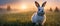 Dwarf Rabbit on grass. Highly detailed and realistic concept design illustration
