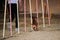 Dwarf red smooth haired dachshund overcomes slalom with several vertical sticks sticking out of the sand. Agility competitions,