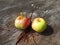 Dwarf wild apples