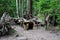 Dwarfs fairy houses in the mysterious woods.