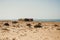 a dwelling next to the road at the atlanic coast of Morocco