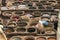 Dye vats of tannery, Fes, Morocco