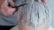 Dyeing gray hair of a middle-aged woman. Close-up.