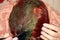 Dyeing hair with henna and basma. Hair Mask