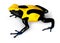 Dyeing Poison-Dart Frog