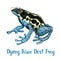 Dyeing poison dart frog, tinc Dendrobates tinctorius isolated on white hand painted watercolor illustration