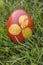Dyeing Printed Easter Egg