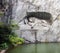 Dying lion monument German: Lowendenkmal carved on the face of stone cliff with the pond in foreground in Luzern, Switzerland